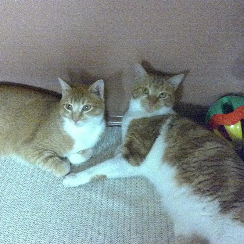 Squints & Tigger (now)