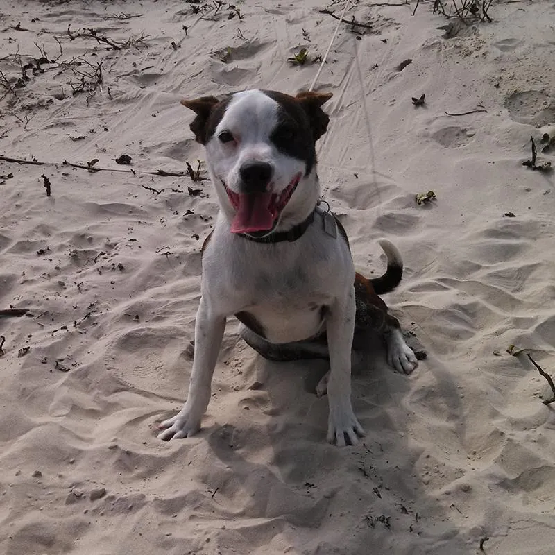 Hatchi, “Ahh much better!”