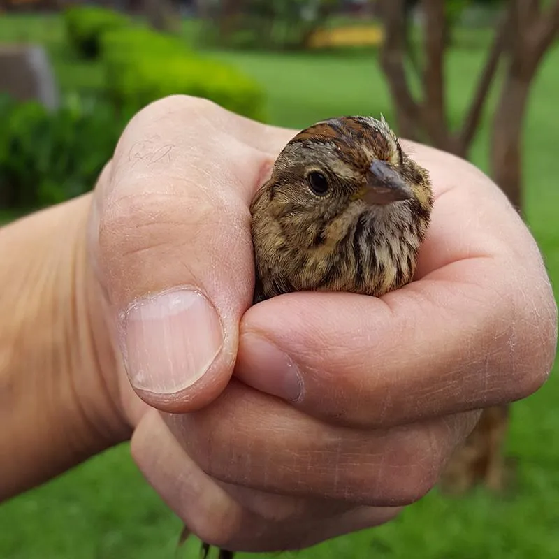 Mr. Peeps, ready to take on the world.