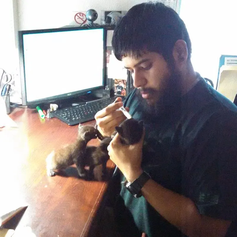 Gabe &amp; 3 Little Kittens