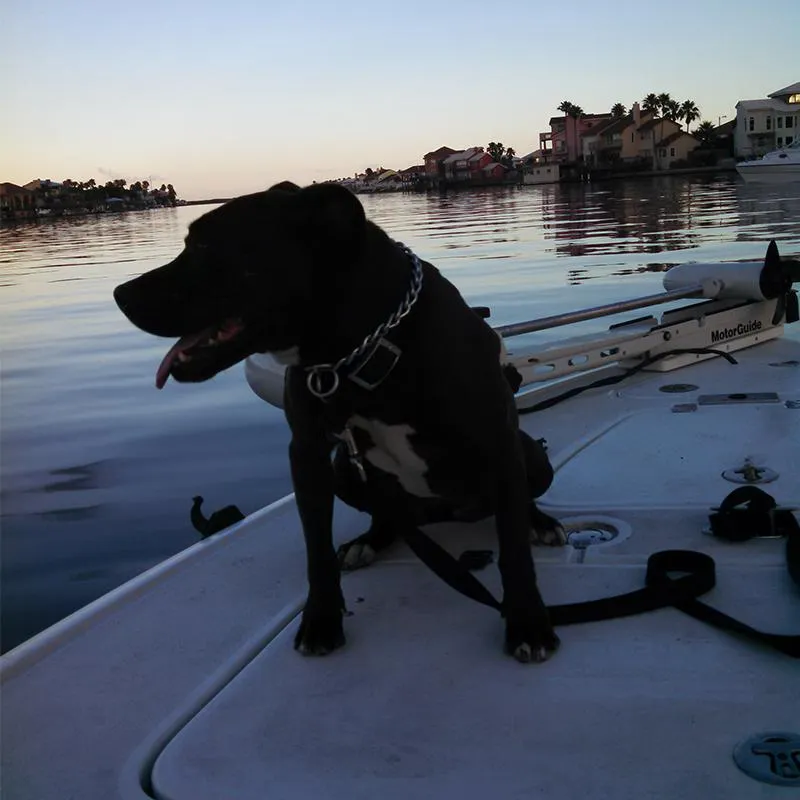 Corporal Sadie (Hey Dad, that “other place” had sand too but it didn't have all this wet stuff)